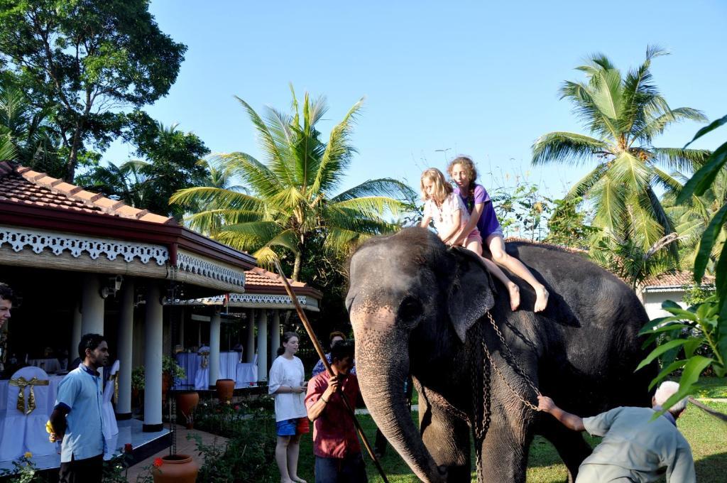 Bougain Villa Bentota Luaran gambar