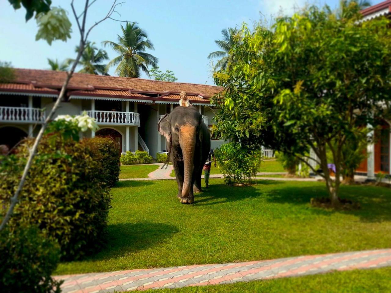 Bougain Villa Bentota Luaran gambar